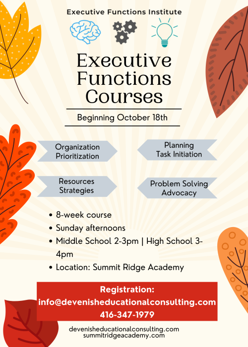Executive Functions Course